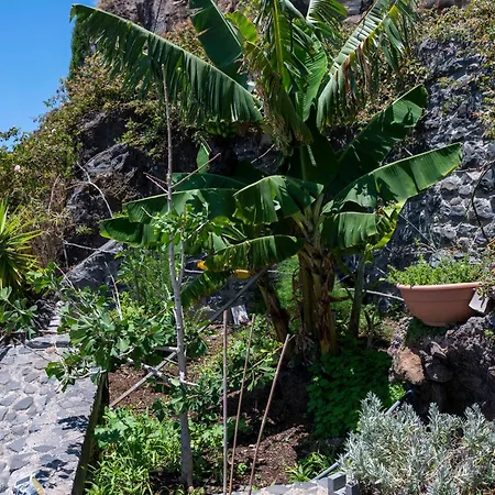 Soalheira Studio Gardens *